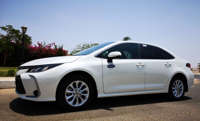 Makadi nach Luxor mit dem Auto 2024