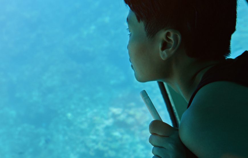 Halb U Boot Glasboot Seascope Ausflug ab Hurghada