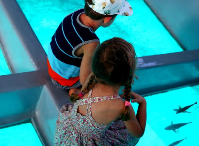 U-Boot Sindbad Submarine ab Hurghada