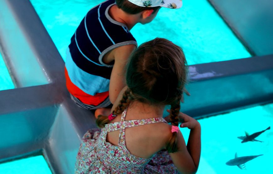 U-Boot Sindbad Submarine ab Hurghada