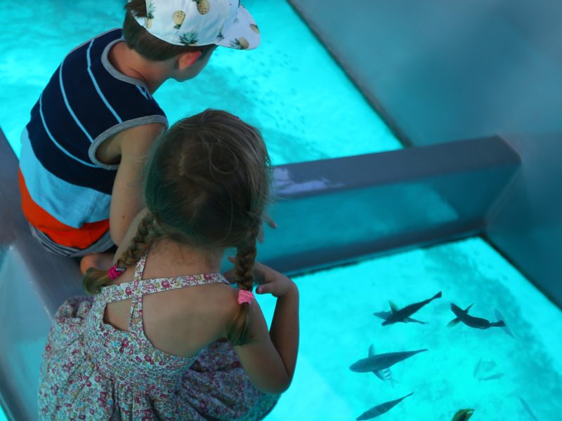 Sharm El Sheikh Glasbodenboot