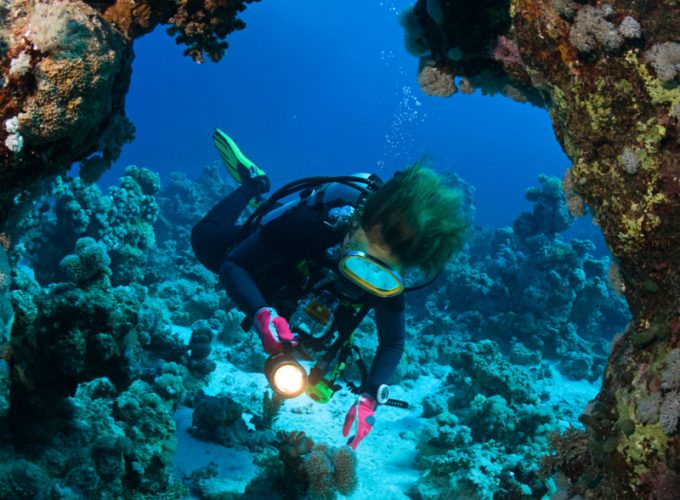 Tauchen für Anfänger Hurghada – Gerätetauchen Einführung – Schnuppertauchen Hurghada