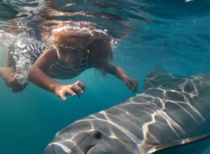 Delfin Haus Dolphin House Schnorcheln