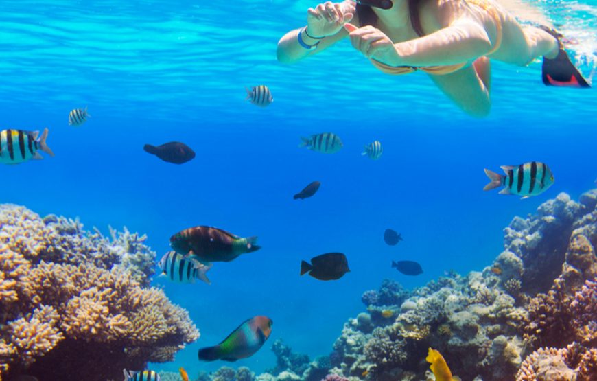 Sharm el Naga Schnorchelausflug ab Hurghada