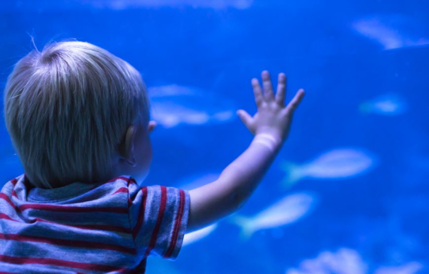 U-Boot Sindbad Submarine ab Hurghada