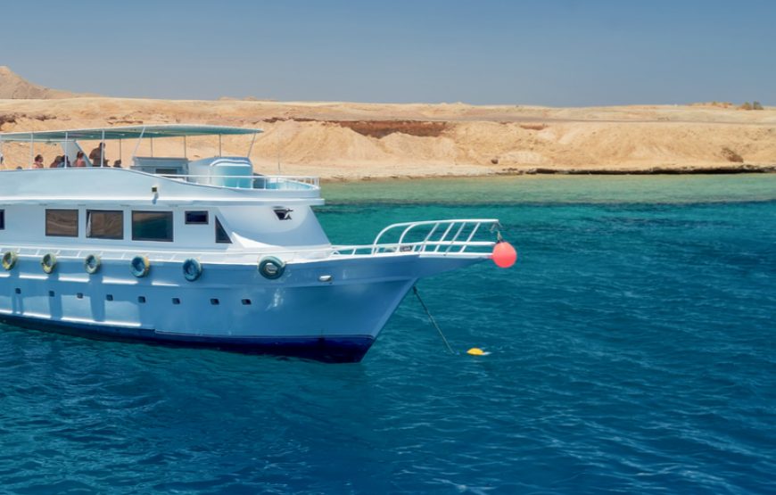Fischen privater Angelausflug Hurghada ab El Gouna