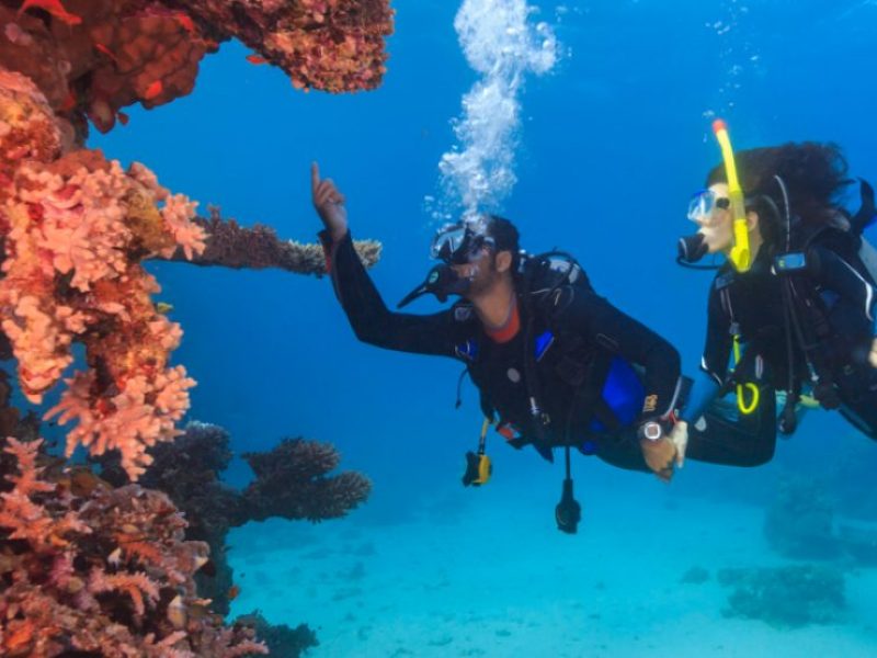 Padi Open Water Diver Kurs OWD Hurghada