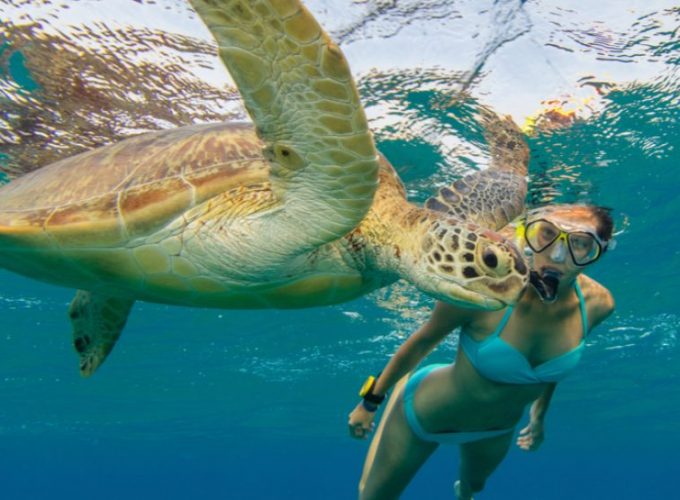 Abu Dabab Turtle Bay Schnorcheln