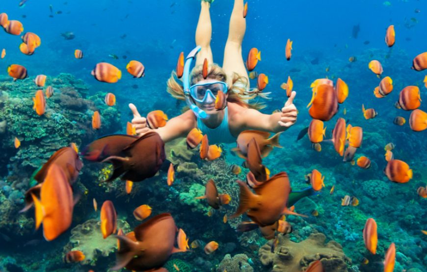 Marsa Mubarak Schnorcheln Marsa Shouna Porto Ghalib ab Marsa Alam