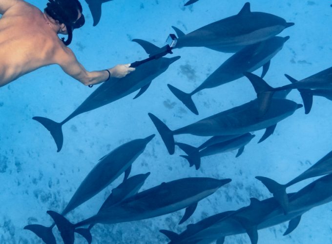 Sataya Reef Marsa Alam Delfin Haus